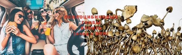эйфоретик Белокуриха