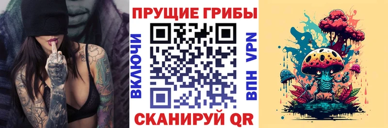 omg рабочий сайт  Сухиничи  дарк нет Telegram  продажа наркотиков  Галлюциногенные грибы Cubensis 